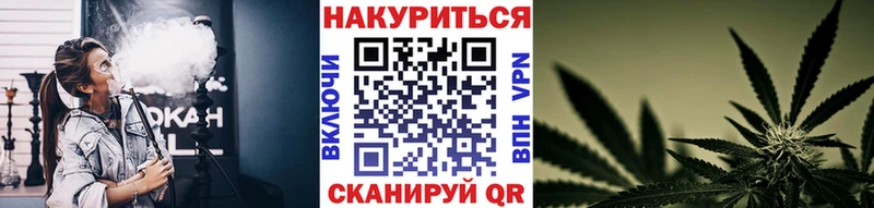 KRAKEN как зайти  Кемь  Бошки марихуана THC 21%  где найти наркотики 